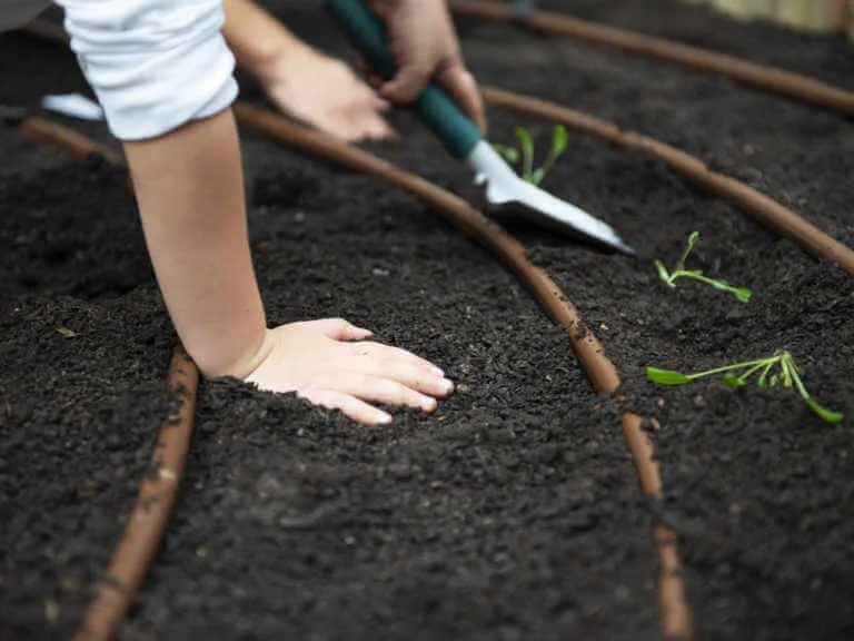 So How Do You Amend Soil?Reviewed by Ben Lawson - Practical Garden Tips Editor So How Do You Amend Soil?Reviewed by Ben Lawson - Practical Garden Tips Editor