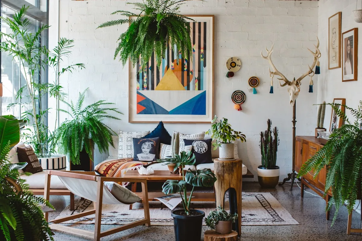 What is Soil for Indoor Plants for a Better Home Garden?Reviewed by Erin Wallace - Plant Care Editor