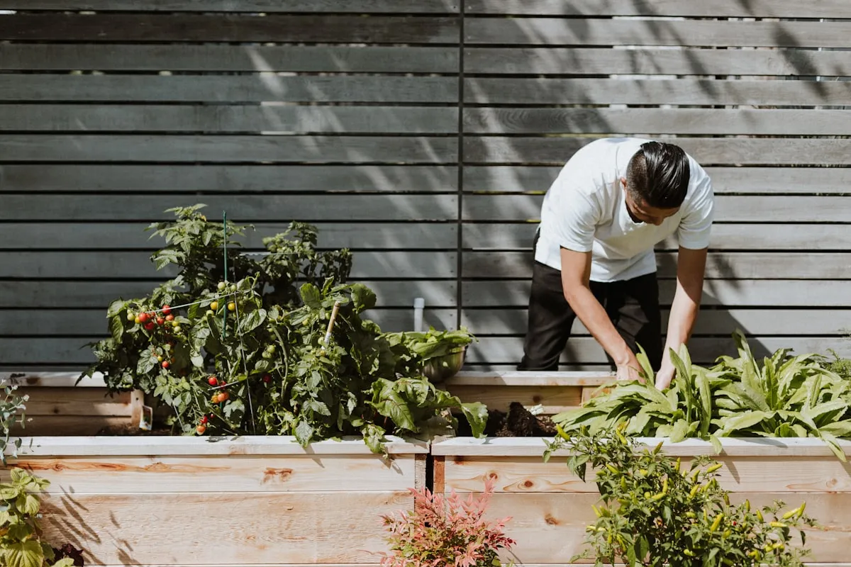 The Basic Of Are Home Gardens Good For The EnvironmentReviewed by Hannah Price - Outdoor Basics Reviewer The Basic Of Are Home Gardens Good For The EnvironmentReviewed by Hannah Price - Outdoor Basics Reviewer