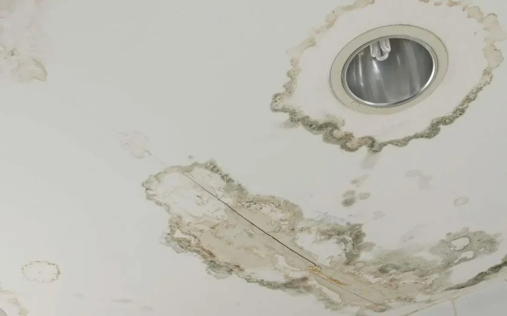 Real home repair or design scene from this article