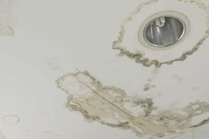 The complete Guide To Understanding Best Bathroom Paint To Prevent Mold