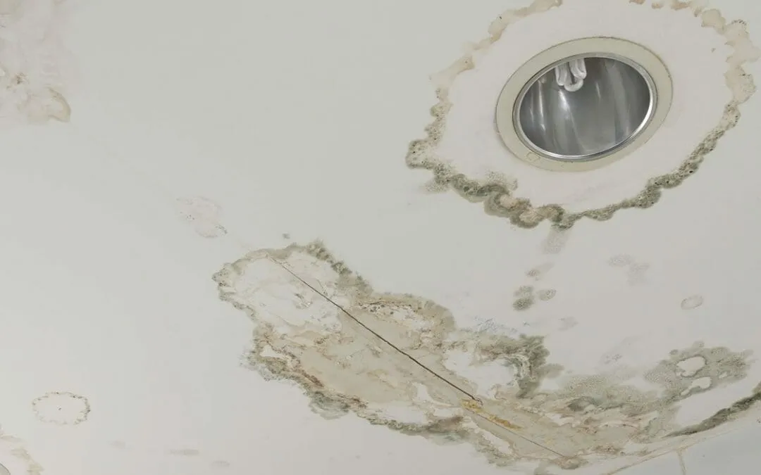 The complete Guide To Understanding Best Bathroom Paint To Prevent MoldReviewed by Tyler Hughes - Renovation Basics Editor The complete Guide To Understanding Best Bathroom Paint To Prevent MoldReviewed by Tyler Hughes - Renovation Basics Editor