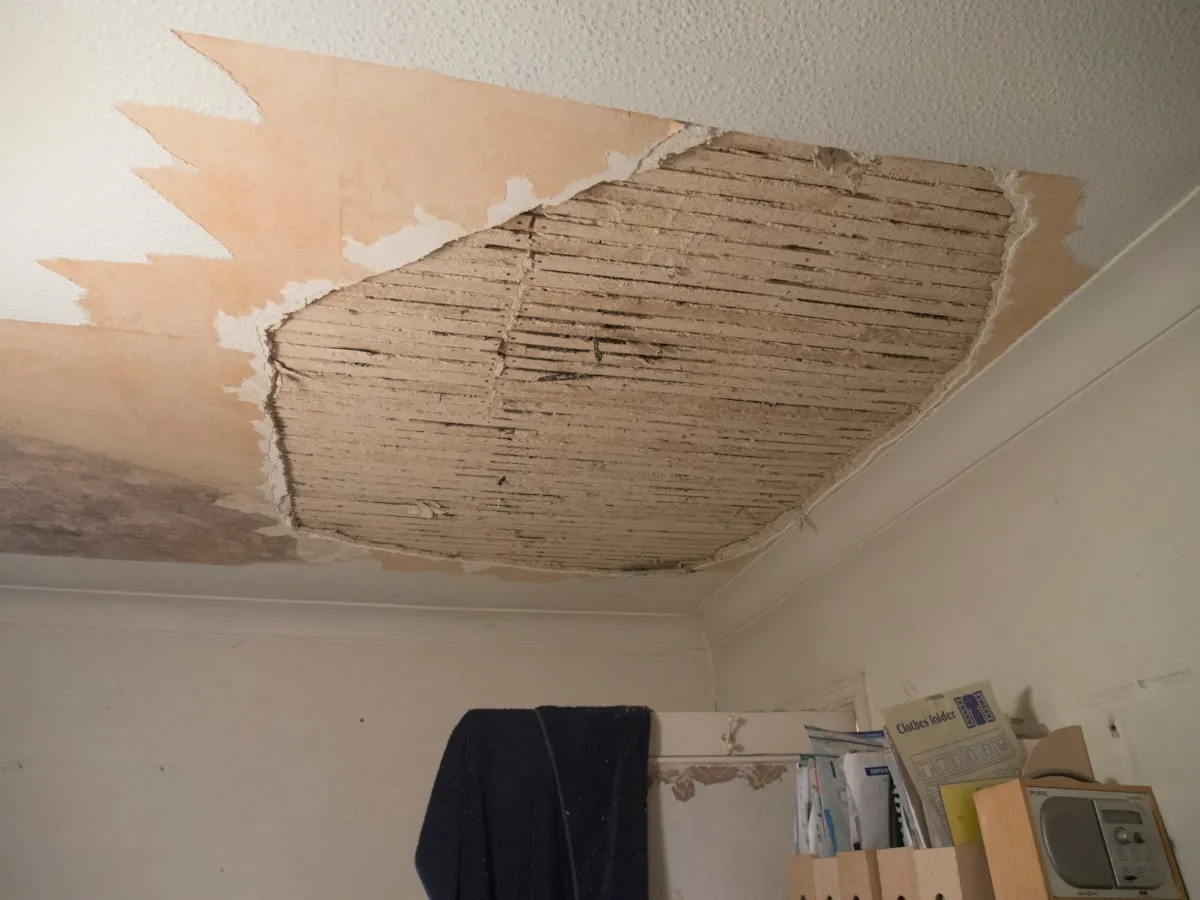 The complete Information to Understanding Fix Ceiling Water DamageReviewed by Jordan Blake - Space Planning Editor The complete Information to Understanding Fix Ceiling Water DamageReviewed by Jordan Blake - Space Planning Editor
