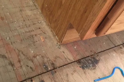The Fundamental of Wood Floor Water Damage Repair