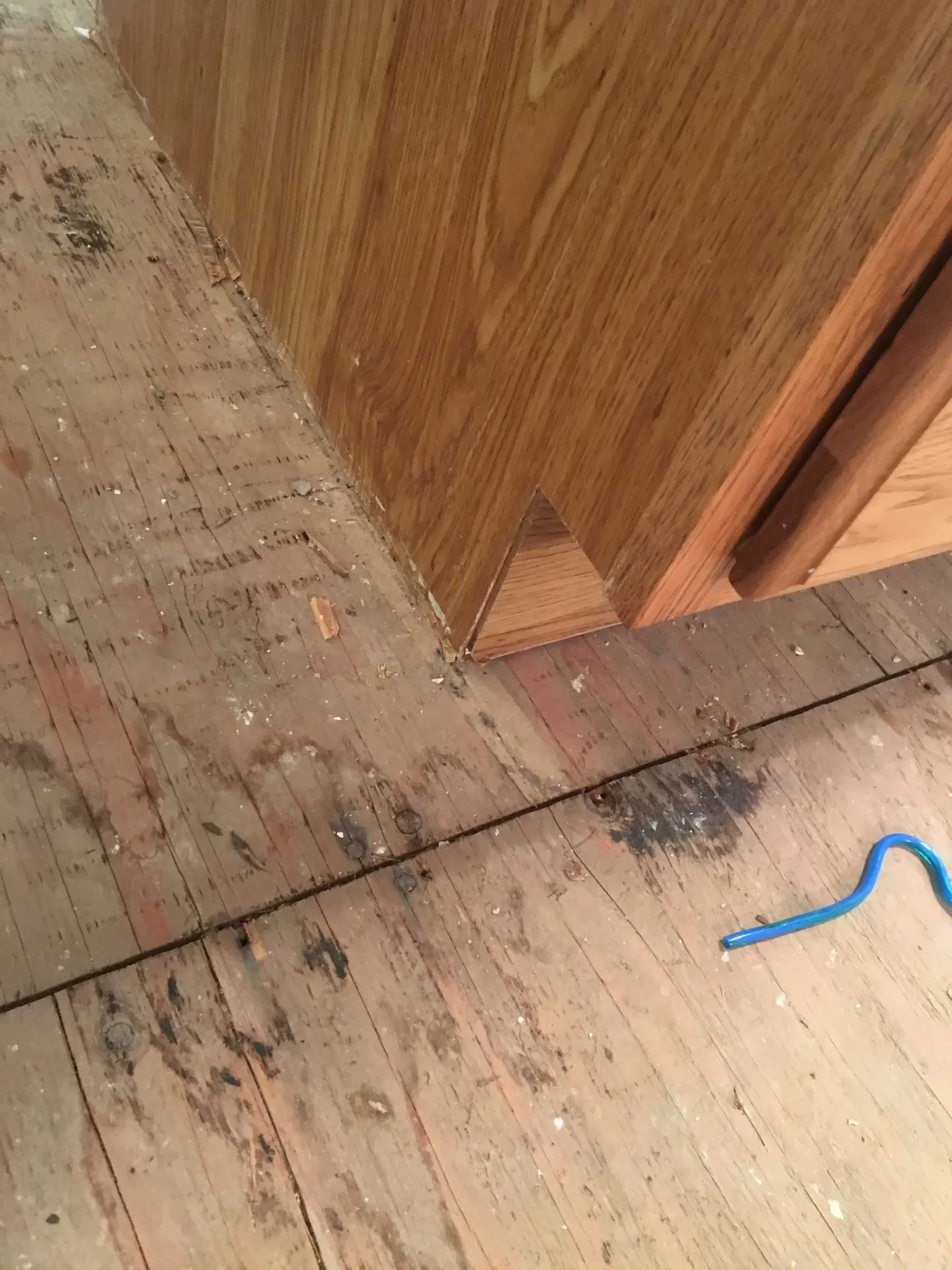 The Fundamental of Wood Floor Water Damage RepairReviewed by Sophie Turner - Home Styling Reviewer The Fundamental of Wood Floor Water Damage RepairReviewed by Sophie Turner - Home Styling Reviewer