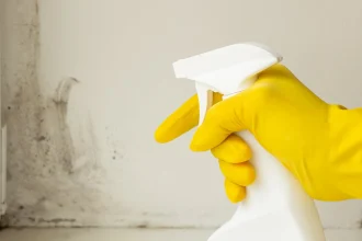 The Loss of Life of Prevent Mold in Humidifier and Easy Methods to Avoid It