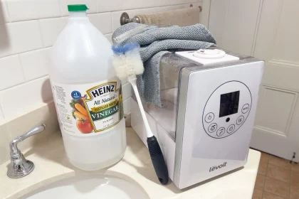 The Next 8 Things to Instantly Do About Prevent Mold in Humidifier