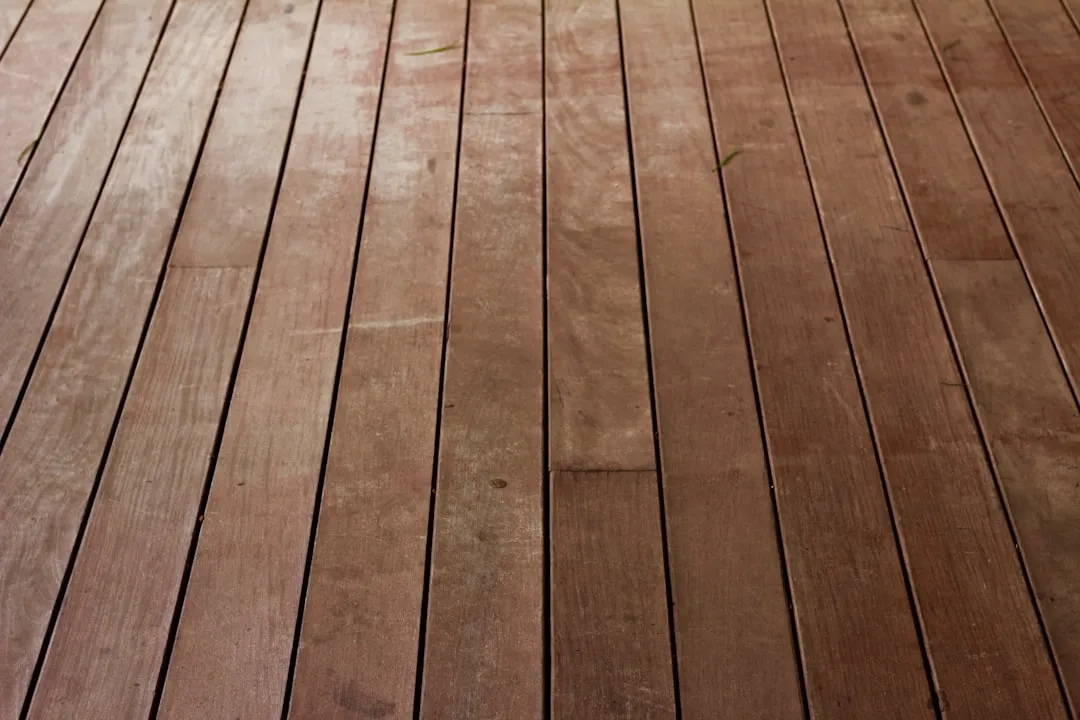 The Philosophy of Termite Damage on Hardwood FloorsReviewed by Madison Clark - Interior Layout Reviewer