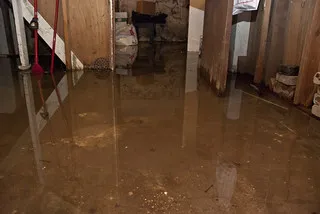 The Significance of How to Fix Water Damage on Hardwood FloorsReviewed by Rachel Kim - Material and Finish Reviewer The Significance of How to Fix Water Damage on Hardwood FloorsReviewed by Rachel Kim - Material and Finish Reviewer