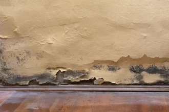 The way to Make Your Product Stand Out With Cost Of Basement Flood Cleanup