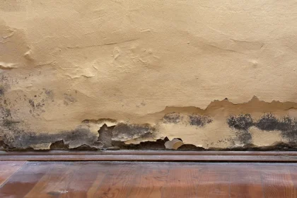 The way to Make Your Product Stand Out With Cost Of Basement Flood Cleanup