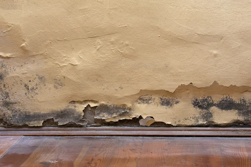 The way to Make Your Product Stand Out With Cost Of Basement Flood CleanupReviewed by Jordan Blake - Space Planning Editor The way to Make Your Product Stand Out With Cost Of Basement Flood CleanupReviewed by Jordan Blake - Space Planning Editor