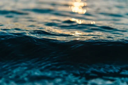 This Info Just May Get You To change Your Water Damage in Attic Technique