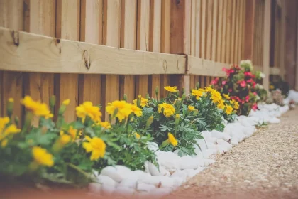 This is a 2 Minute Video That’ll Make You Rethink Your Are Home Gardens Good For The Environment Strategy
