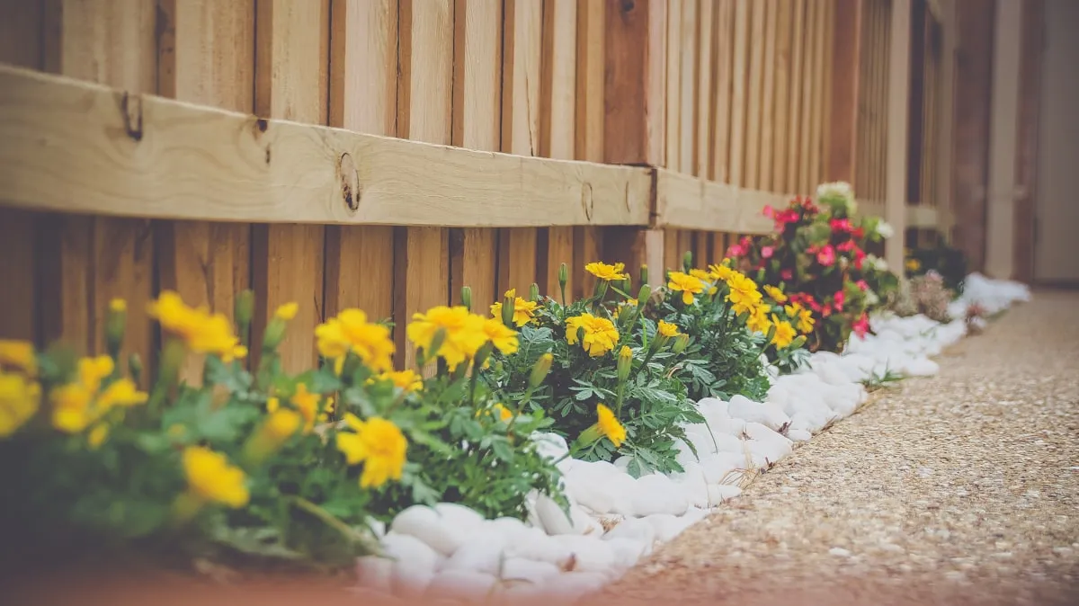 This is a 2 Minute Video That’ll Make You Rethink Your Are Home Gardens Good For The Environment StrategyReviewed by Hannah Price - Outdoor Basics Reviewer This is a 2 Minute Video That’ll Make You Rethink Your Are Home Gardens Good For The Environment StrategyReviewed by Hannah Price - Outdoor Basics Reviewer