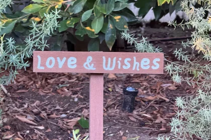 This Study Will Perfect Your Are Home Gardens Good For The Environment: Learn Or Miss Out