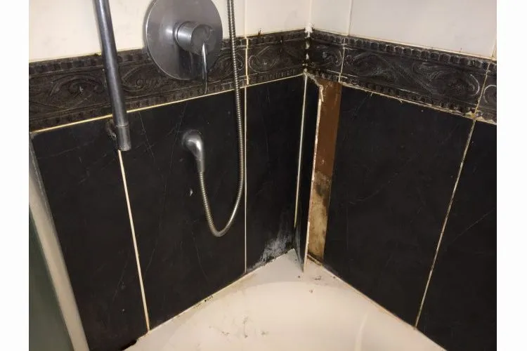 Top Choices Of Wood Floor Water Damage RepairReviewed by Sophie Turner - Home Styling Reviewer Top Choices Of Wood Floor Water Damage RepairReviewed by Sophie Turner - Home Styling Reviewer