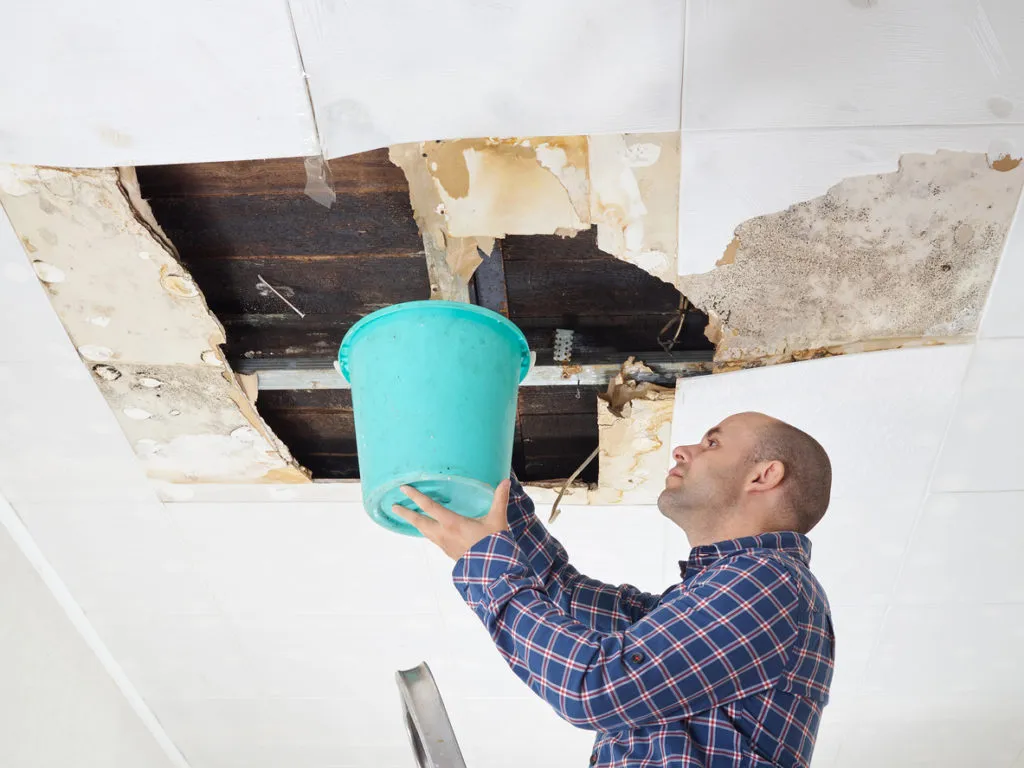 Utilizing Water Damage from RoofReviewed by Tyler Hughes - Renovation Basics Editor Utilizing Water Damage from RoofReviewed by Tyler Hughes - Renovation Basics Editor