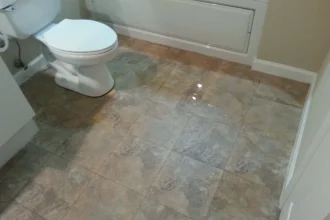 Water Damage Bathroom Floor and Different Merchandise
