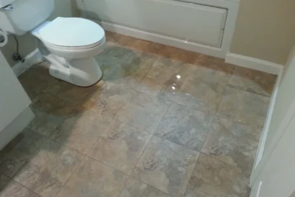 Water Damage Bathroom Floor and Different Merchandise