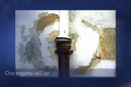 Water Damage in the Basement Guides and Reports