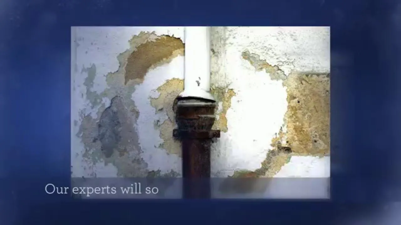 Water Damage in the Basement Guides and ReportsReviewed by Sophie Turner - Home Styling Reviewer