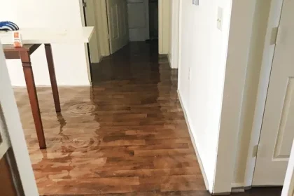 Water Damage to Subfloor at a Look