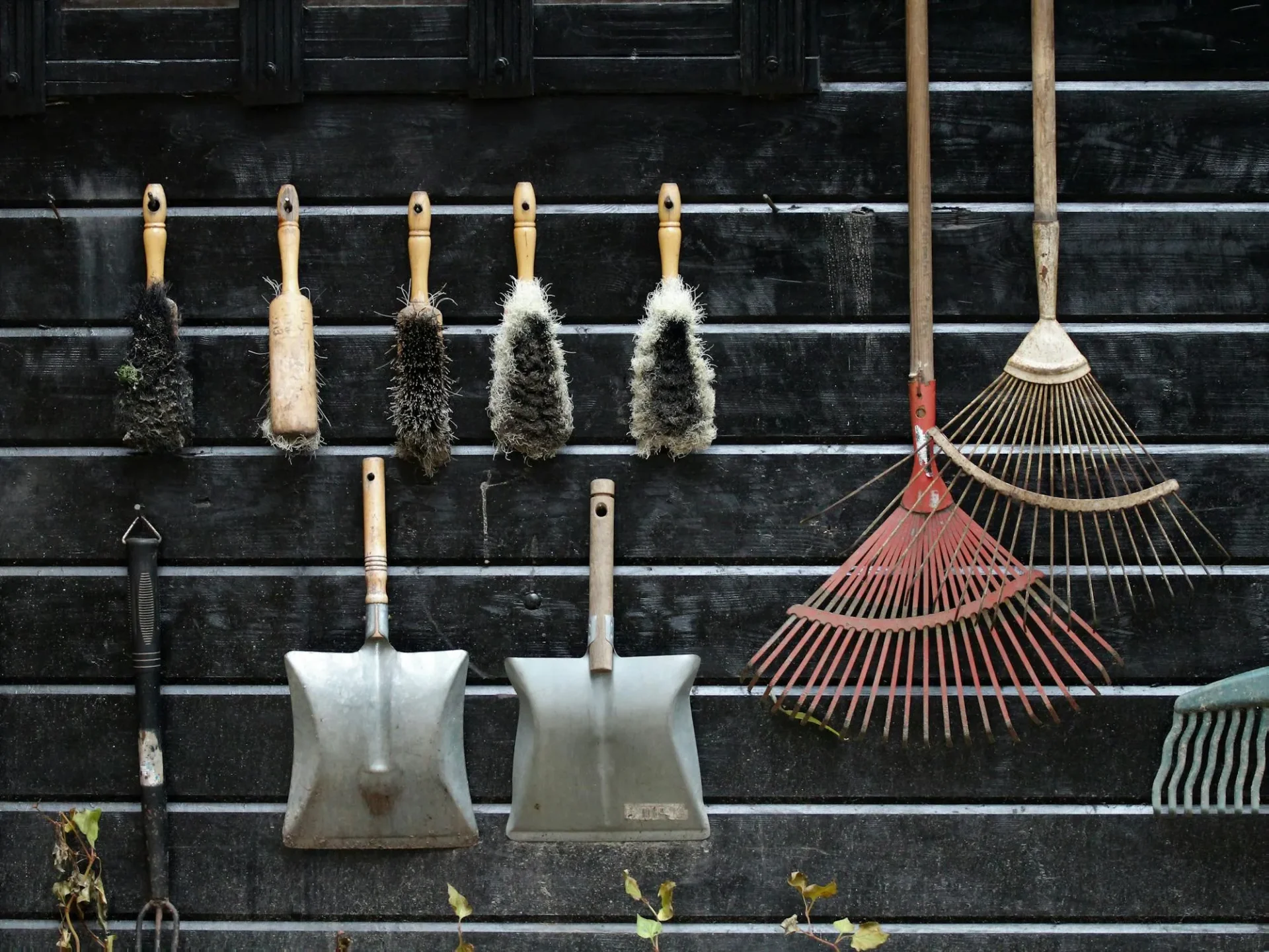 Weird Tools to Keep Your Stuff Within Straightforward Attain in the GardenReviewed by Erin Wallace - Plant Care Editor Weird Tools to Keep Your Stuff Within Straightforward Attain in the GardenReviewed by Erin Wallace - Plant Care Editor