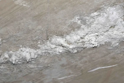 What Alberto Savoia Can Educate You About Prevent Mold Basement?