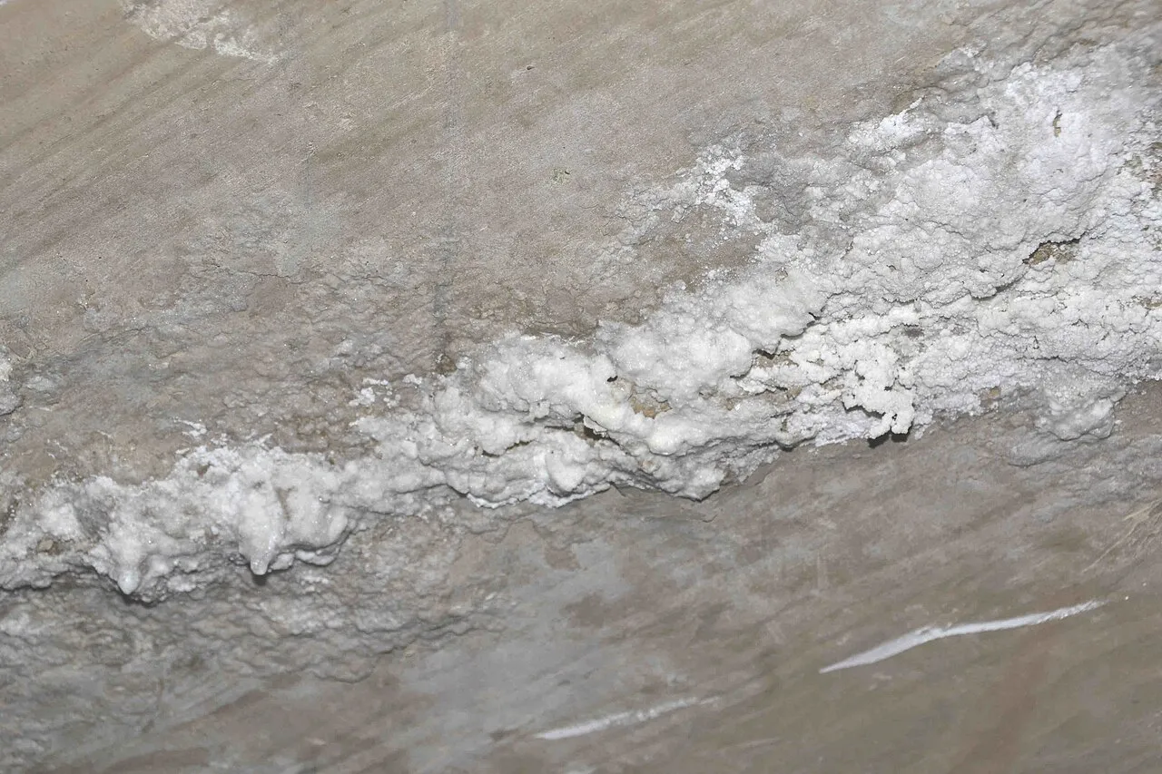 What Alberto Savoia Can Educate You About Prevent Mold Basement?Reviewed by Jordan Blake - Space Planning Editor What Alberto Savoia Can Educate You About Prevent Mold Basement?Reviewed by Jordan Blake - Space Planning Editor
