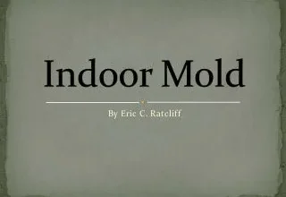 What Shakespeare Can Educate You About Prevent Mold In Bathroom