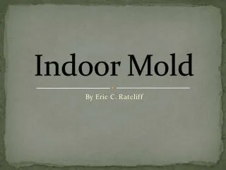 What Shakespeare Can Educate You About Prevent Mold In BathroomReviewed by Sophie Turner - Home Styling Reviewer What Shakespeare Can Educate You About Prevent Mold In BathroomReviewed by Sophie Turner - Home Styling Reviewer