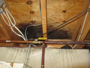 When Professionals Run into Problems with Water Damage in Attic, that is What They Do