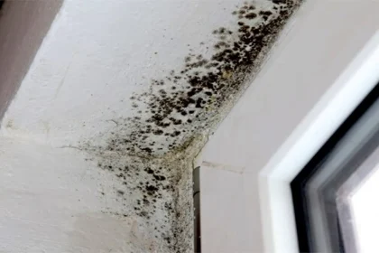 When You Learn Nothing Else Right This Moment, Read This Report on Flood Damage House