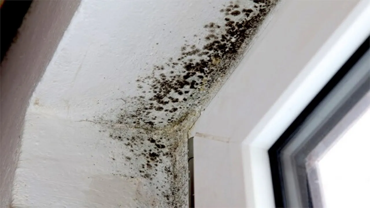 When You Learn Nothing Else Right This Moment, Read This Report on Flood Damage HouseReviewed by Sophie Turner - Home Styling Reviewer When You Learn Nothing Else Right This Moment, Read This Report on Flood Damage HouseReviewed by Sophie Turner - Home Styling Reviewer
