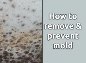 Why Best Bathroom Paint To Prevent Mold Is The Only Skill You Really Want
