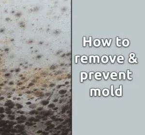 Why Best Bathroom Paint To Prevent Mold Is The Only Skill You Really Want