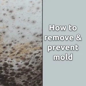 Why Best Bathroom Paint To Prevent Mold Is The Only Skill You Really WantReviewed by Rachel Kim - Material and Finish Reviewer Why Best Bathroom Paint To Prevent Mold Is The Only Skill You Really WantReviewed by Rachel Kim - Material and Finish Reviewer