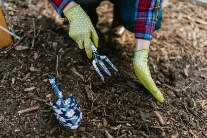 Why Composting Home Gardens is Good for the Environment Strategy