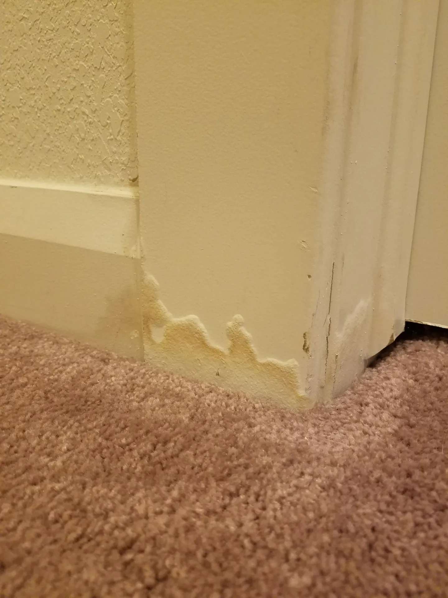 Why Have Baseboard Water Damage?Reviewed by Jordan Blake - Space Planning Editor Why Have Baseboard Water Damage?Reviewed by Jordan Blake - Space Planning Editor