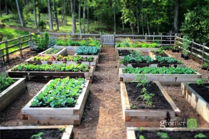Why Raised Bed Home Gardens Are Good For The Environment