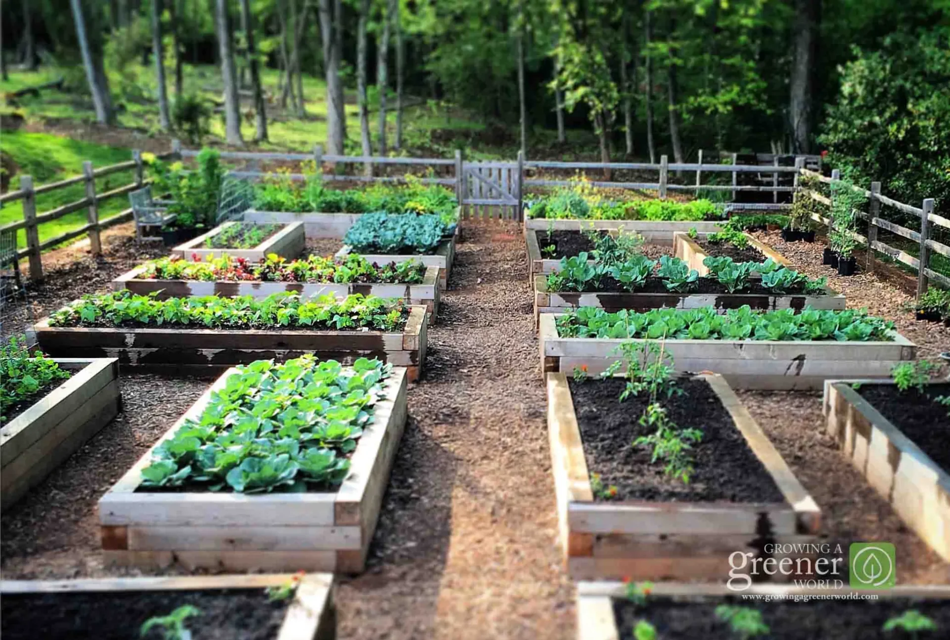 Why Raised Bed Home Gardens Are Good For The EnvironmentReviewed by Erin Wallace - Plant Care Editor Why Raised Bed Home Gardens Are Good For The EnvironmentReviewed by Erin Wallace - Plant Care Editor