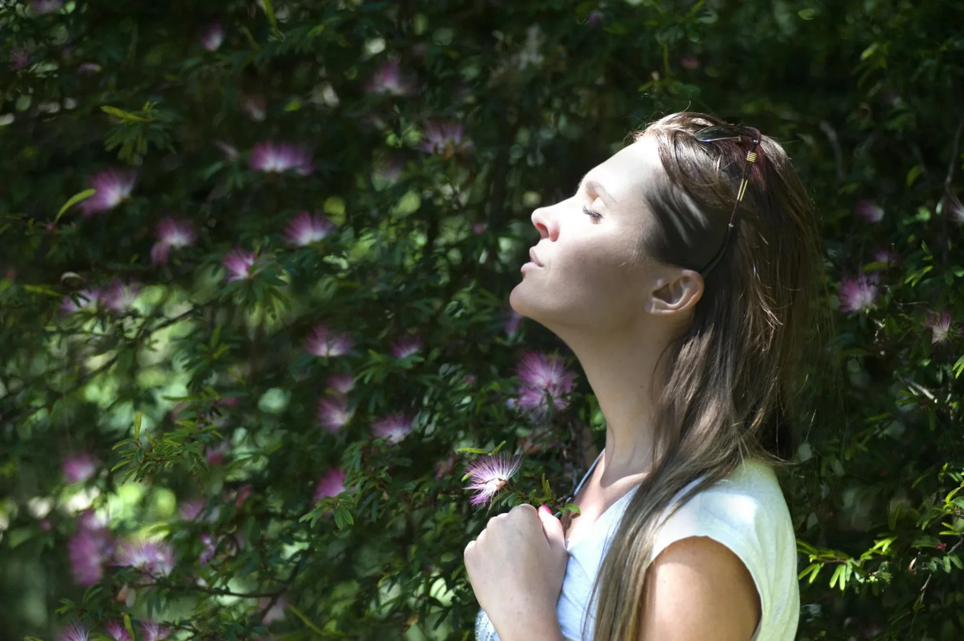 Why Windy Home Gardens Can Be Good for the EnvironmentReviewed by Cole Ramirez - Soil and Pest Reviewer