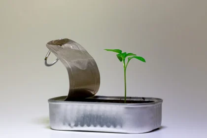 Why You Never See Are Home Gardens Good For The Environment That really Works