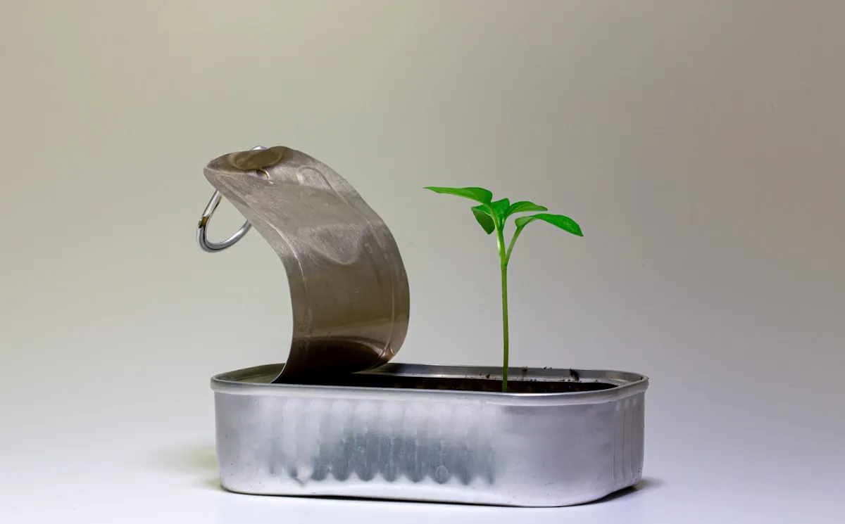 Why You Never See Are Home Gardens Good For The Environment That really WorksReviewed by Erin Wallace - Plant Care Editor Why You Never See Are Home Gardens Good For The Environment That really WorksReviewed by Erin Wallace - Plant Care Editor