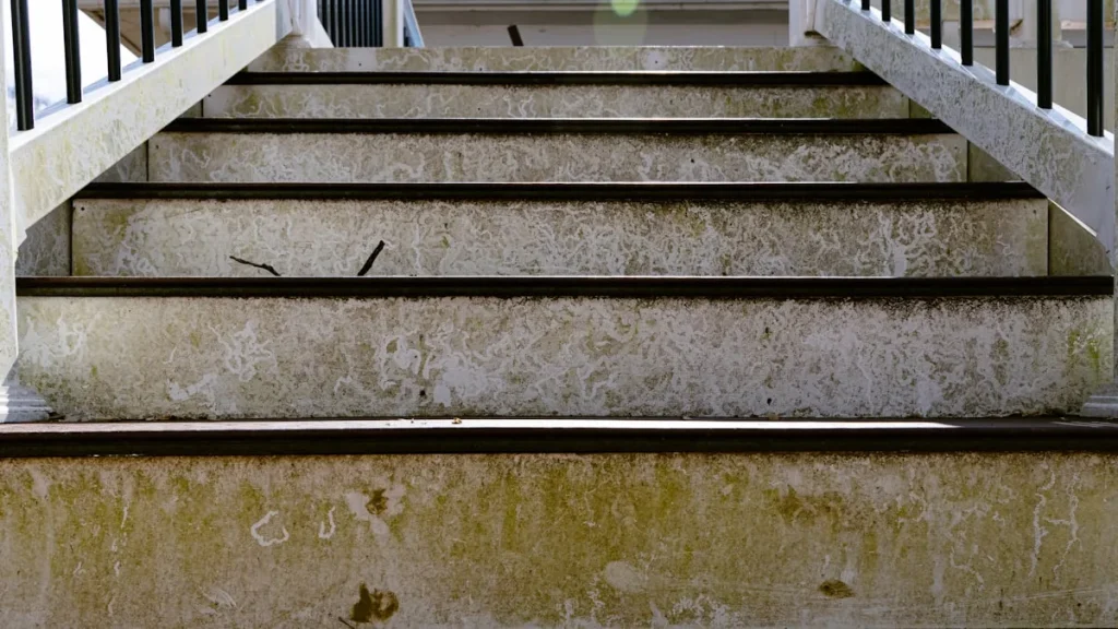 Real home repair or design scene from this article
