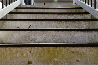 Wondering How to Make Your Termite Damage Vs Water Damage Rock? Read This!