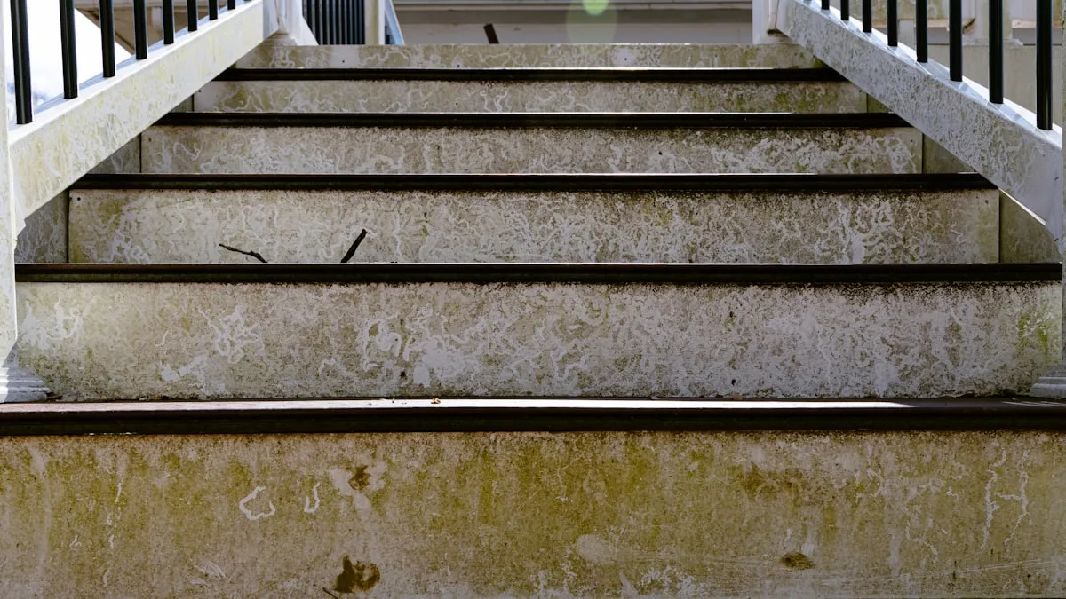 Wondering How to Make Your Termite Damage Vs Water Damage Rock? Read This!Reviewed by Jordan Blake - Space Planning Editor Wondering How to Make Your Termite Damage Vs Water Damage Rock? Read This!Reviewed by Jordan Blake - Space Planning Editor