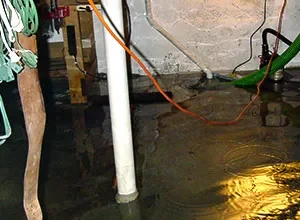 Wood Floor Water Damage Repair Gets A Redesign