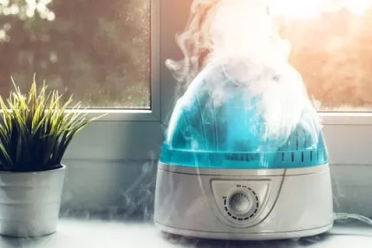 You Can Possibly Thank Us Later – 10 Causes to Cease Fascinated with Prevent Mold in Humidifier